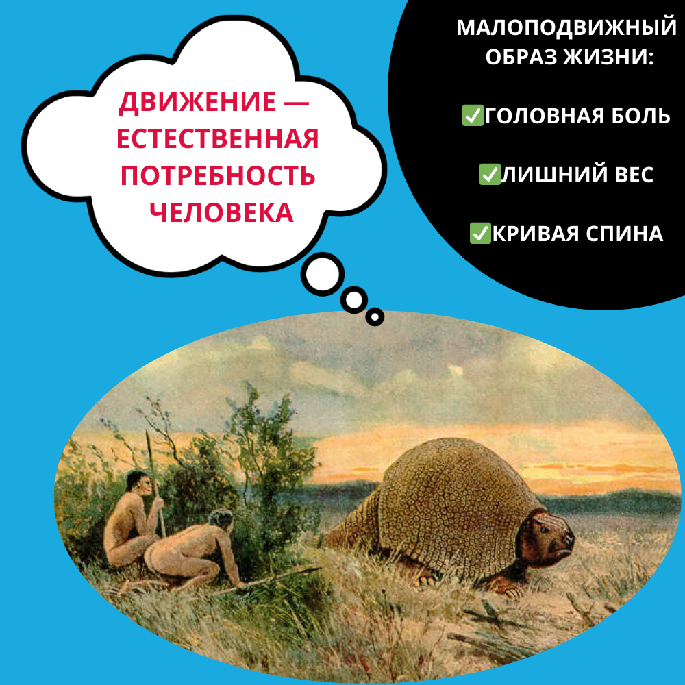 Сидячий образ жизни: вызов природе человека. Как восстановить баланс с помощью профессиональных тренировок