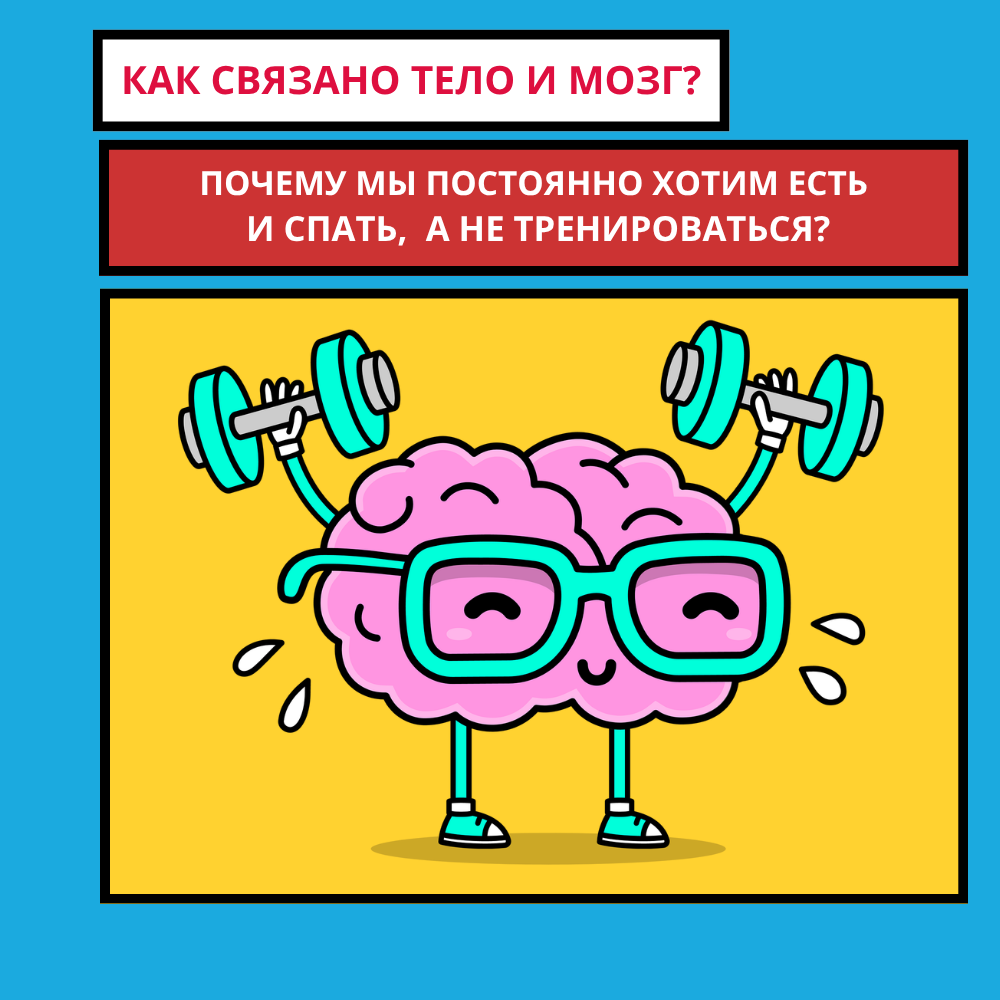 Мозг: структура, эволюция и связь с телом — как это влияет на нашу жизнь