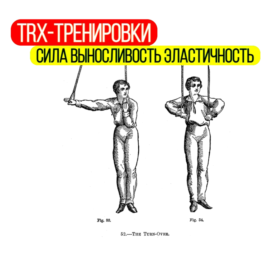 TRX-петли: от гимнастических снарядов XIX века до элитного тренинга спецназа